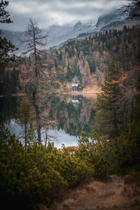 Cabin in the woods at mountain lake reedsee in the austrian alps in gastein in  moody fall colors