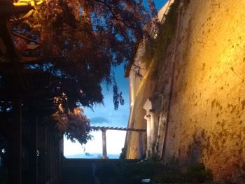 Low angle view of trees and buildings against sky