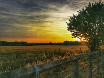 Scenic view of field against sky during sunset