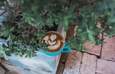 High angle view of coffee cup on plant