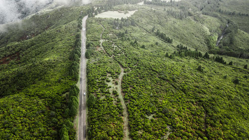 Aerial view of green mountain
