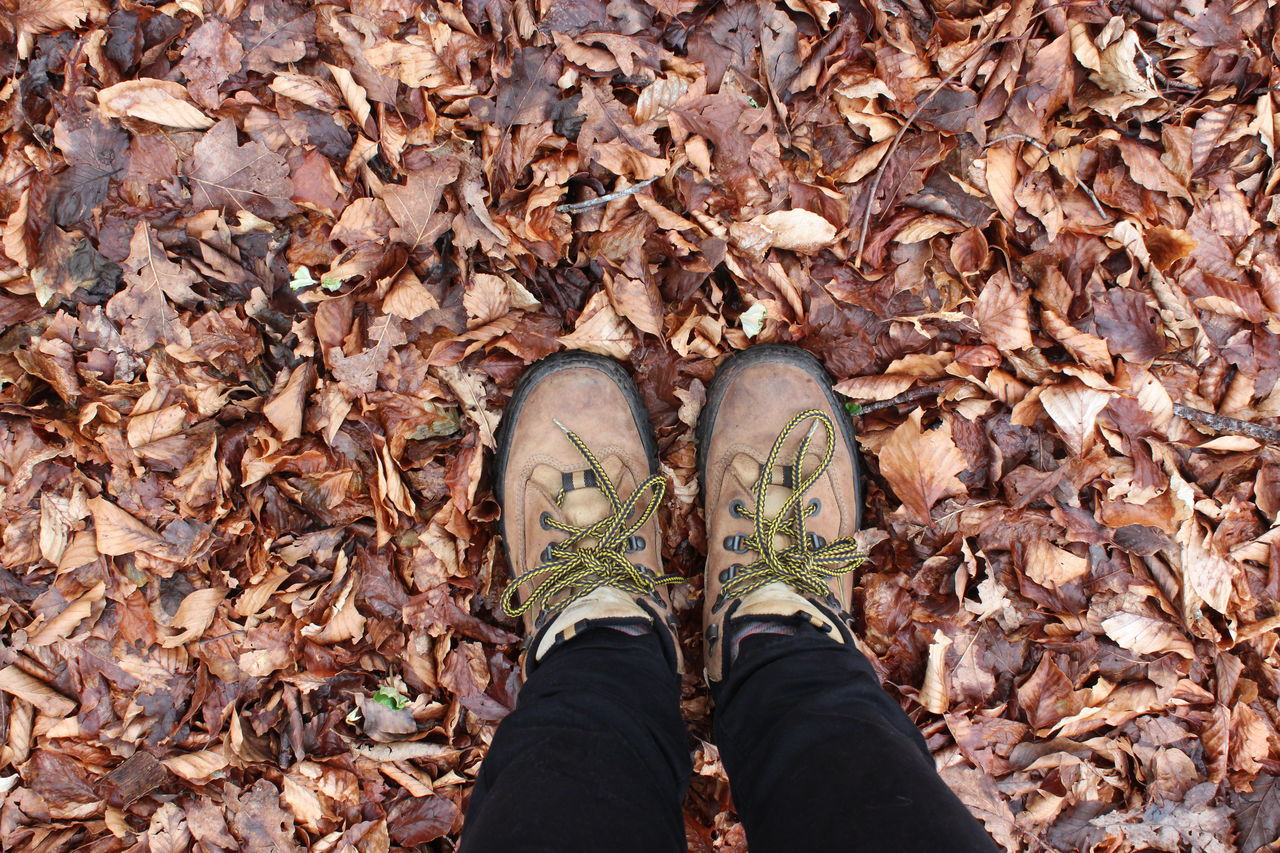 Treking shoes