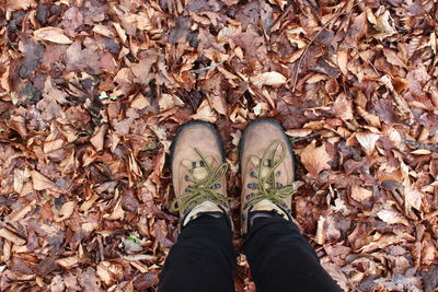 Low section of woman standing in park