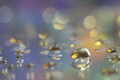 macro photography