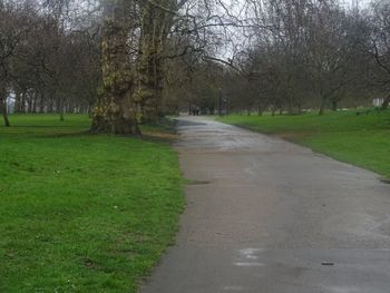 Scenic view of green landscape and trees against sky