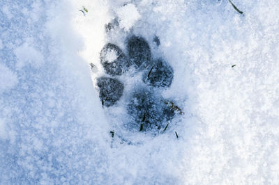 High angle view of snow covered land