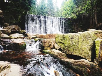 Scenic view of waterfall in forest