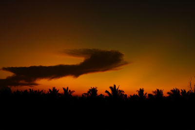 Silhouette trees against dramatic sky during sunset