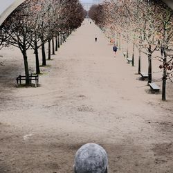 Walkway along trees