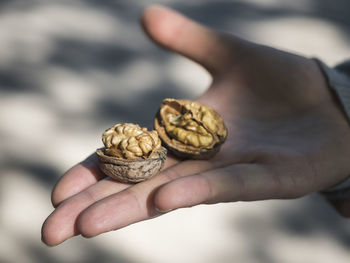 Close-up of hand holding snail