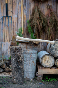 Close-up of tree stump