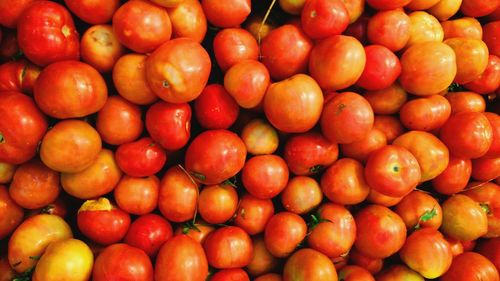 Full frame shot of tomatoes for sale