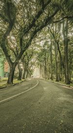 Empty road along trees