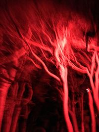 Full frame shot of red background