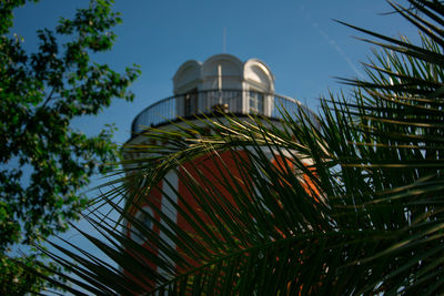 Low angle view of palm tree and building against sky