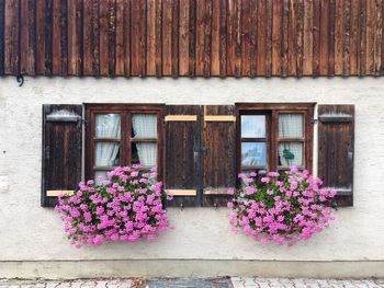 Flower boxes on window of house