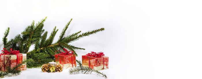 Christmas tree with red leaves against white background