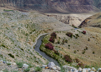 High angle view of rock on road