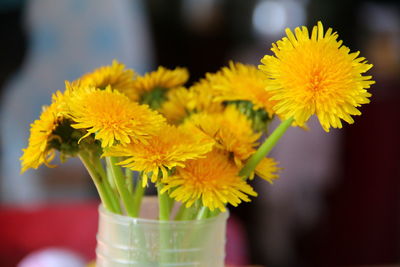 Close-up of yellow flowers in vase