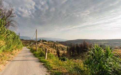 Scenic view of landscape against sky