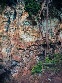 Close-up of tree trunk in cave