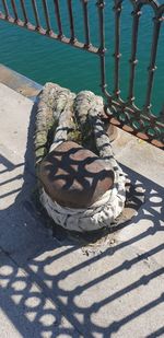 High angle view of coffee on footpath by railing