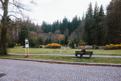 Rear view of people sitting on road against sky