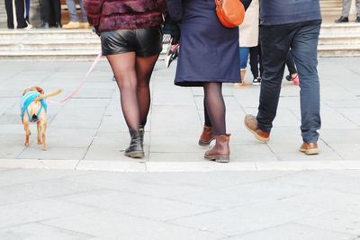 Low section of people with dog walking on footpath