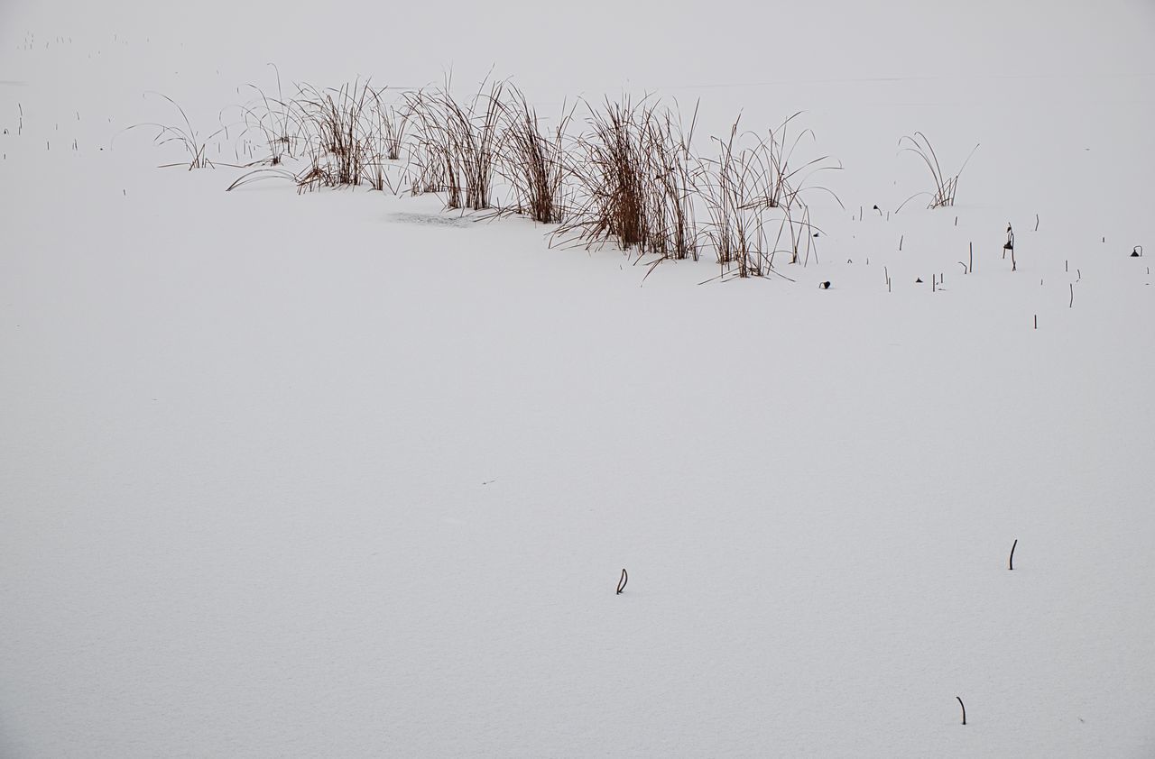 VIEW OF SNOW COVERED FIELD