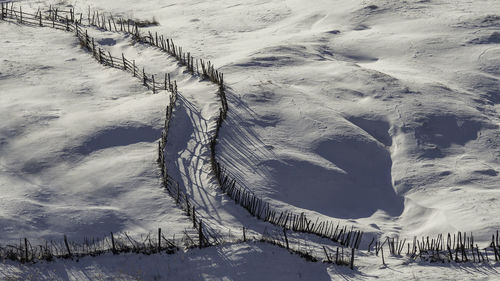 Scenic view of snow covered field