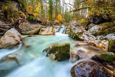 Stream flowing through rocks in forest