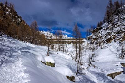 Snow covered land and trees against sky