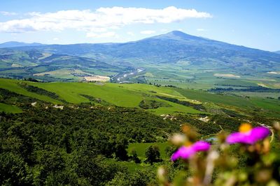 Scenic view of field and mountains against sky