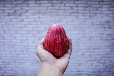 Close-up of hand holding red apple