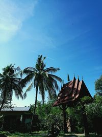 Low angle view of trees and houses against blue sky