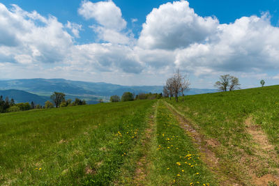 Scenic view of field against sky