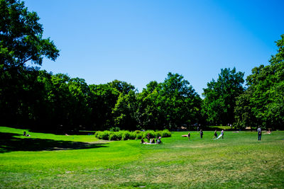 Group of people playing soccer on field against clear sky