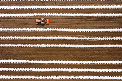 High angle view of cultivated agricultural field in spring