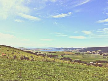 Scenic view of agricultural field against sky