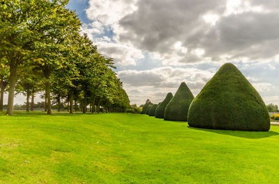 Trees on field against cloudy sky