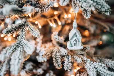 Close-up of christmas tree during winter