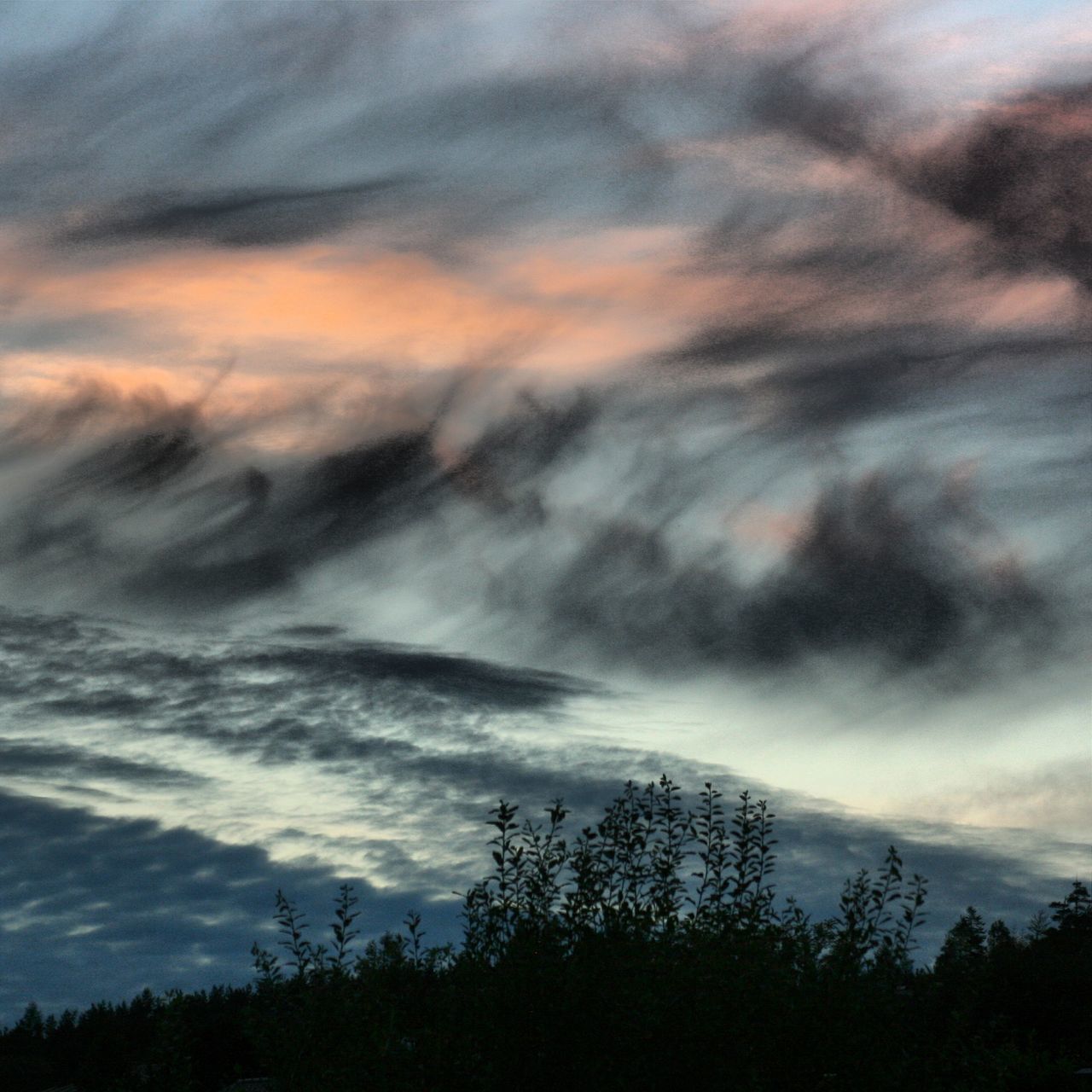 sky, tree, silhouette, cloud - sky, tranquility, scenics, cloudy, tranquil scene, beauty in nature, weather, nature, sunset, overcast, low angle view, dramatic sky, cloud, dusk, idyllic, storm cloud, cloudscape