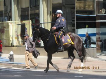 Man riding horse