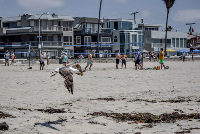 People on beach against sky