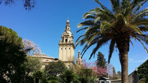 Low angle view of palm trees against blue sky