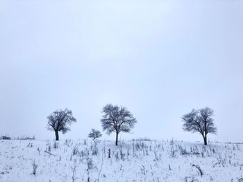 Trees on snow covered landscape against clear sky