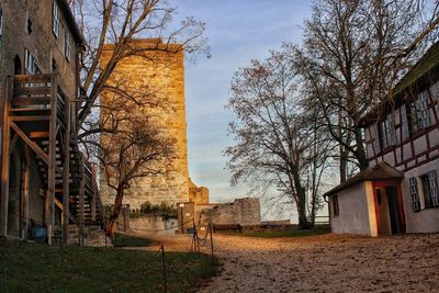 Bare trees with buildings in background