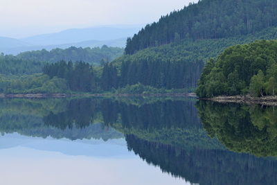 Scenic view of lake by trees against sky