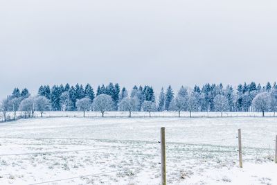 Trees on snow covered field against clear sky