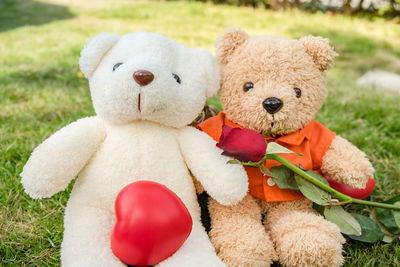 Teddy bear sitting on the garden with love and red roses symbolize valentine's day.